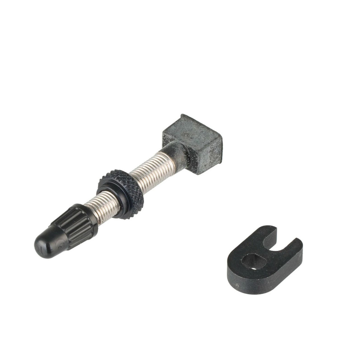 Valve Tubeless Campagnolo