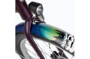 Townie Go! 5i Step-Thru