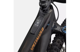 Levo SL expert