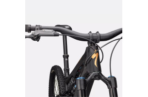 Levo SL expert