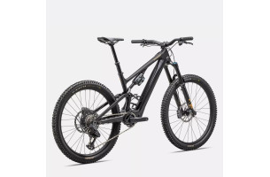 Levo SL expert