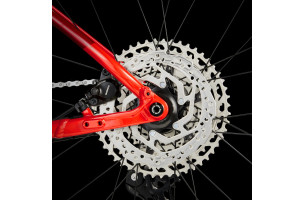 Procaliber 6