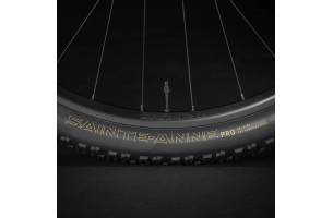 Procaliber 6