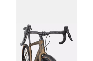 Diverge Expert Carbon