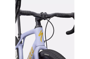 Diverge STR Expert