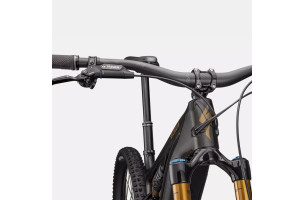 Levo 4 Pro