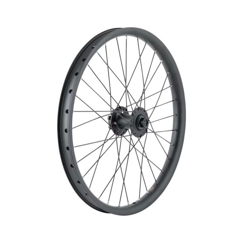 Roue Trek 20" Cargo Bike 6 trous