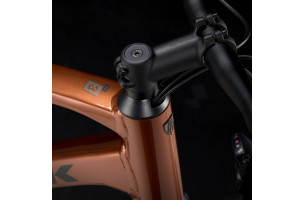 Dual Sport 3