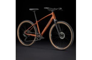 Dual Sport 3