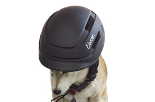 Casque Vélotaffeur mate