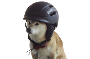 Casque Vélotaffeur mate