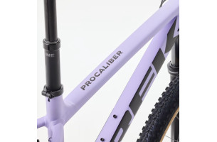 Procaliber 6