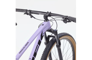Procaliber 6