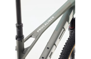Procaliber 9.5