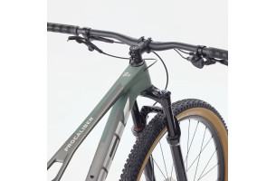 Procaliber 9.5