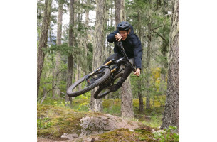 Stumpjumper 15 comp alloy