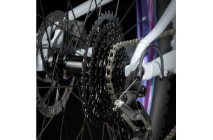 Wahoo 24 trail