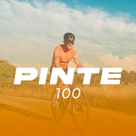 PINTE100